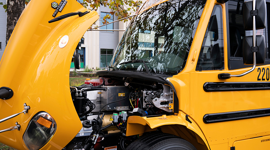 Electric School Bus Growth and State Strategy for a Sustainable Future