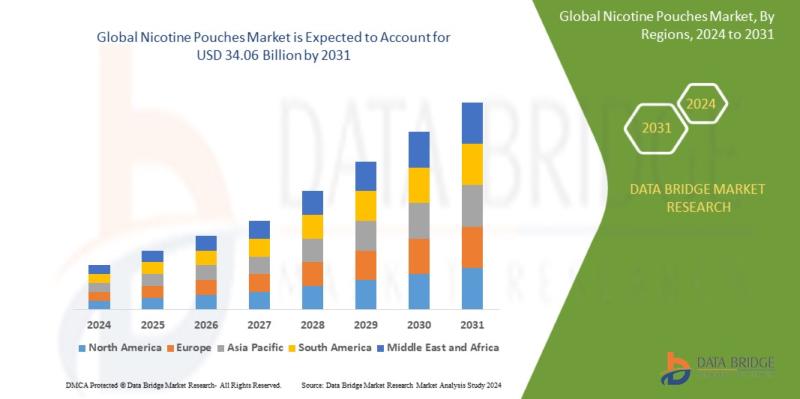 Nicotine Pouch Market Growth Insights