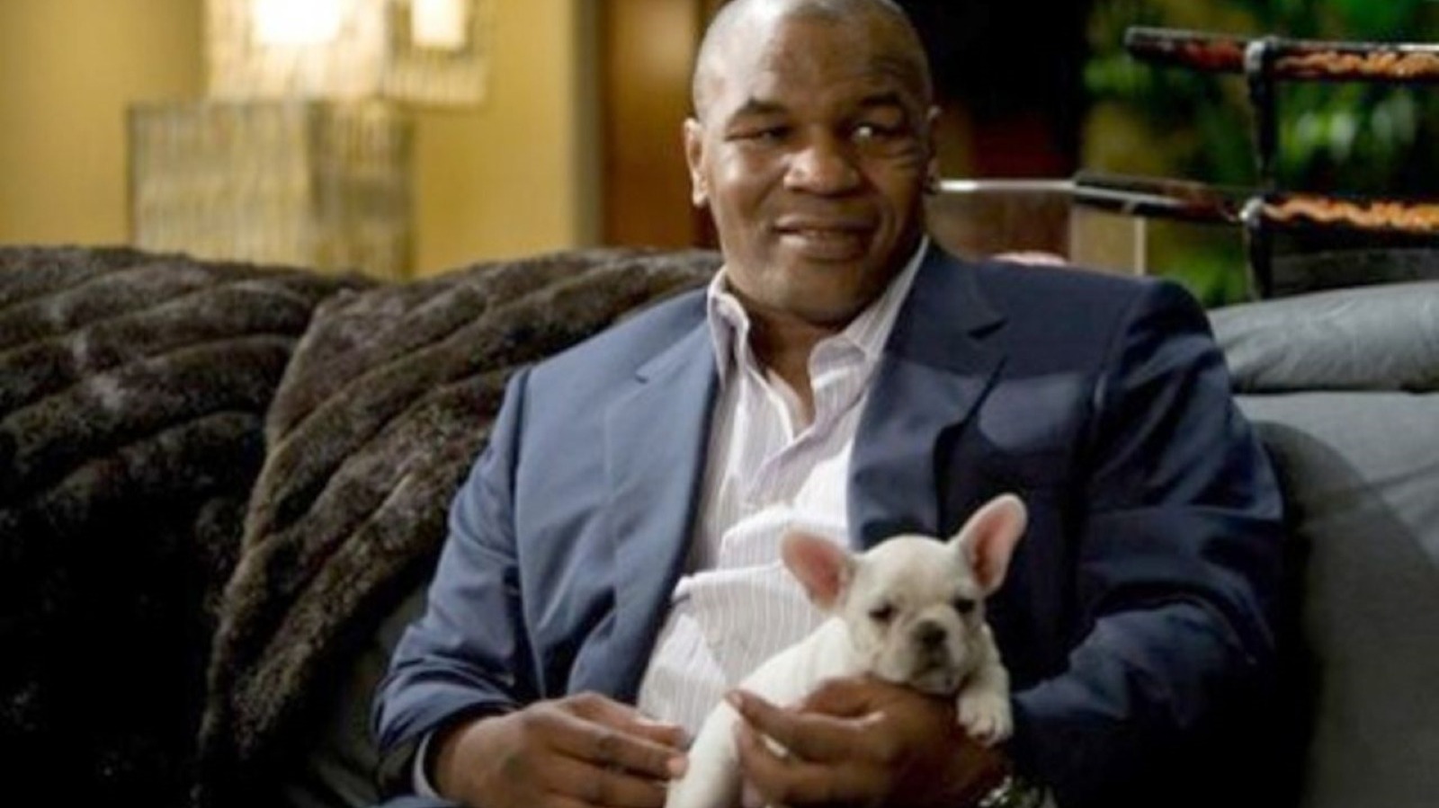 The Hangover: Mike Tyson's Unexpected Breakthrough Cameo