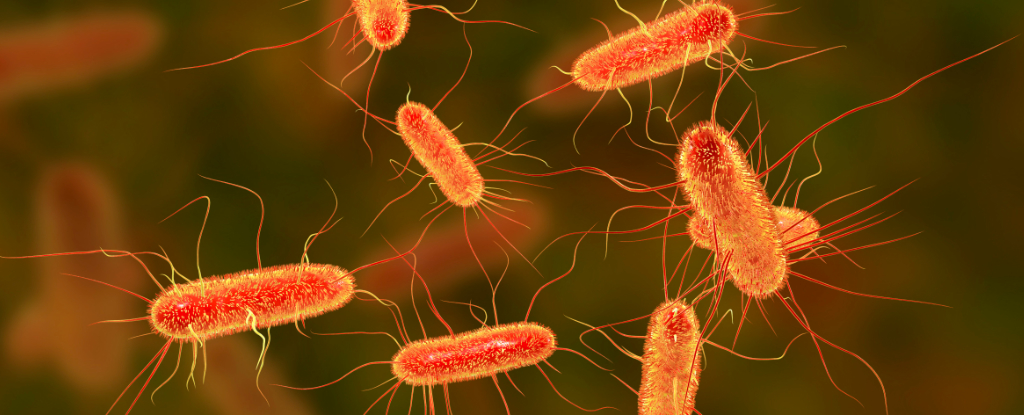 E. coli Outbreak: Market Impact and McDonald's Response Strategy