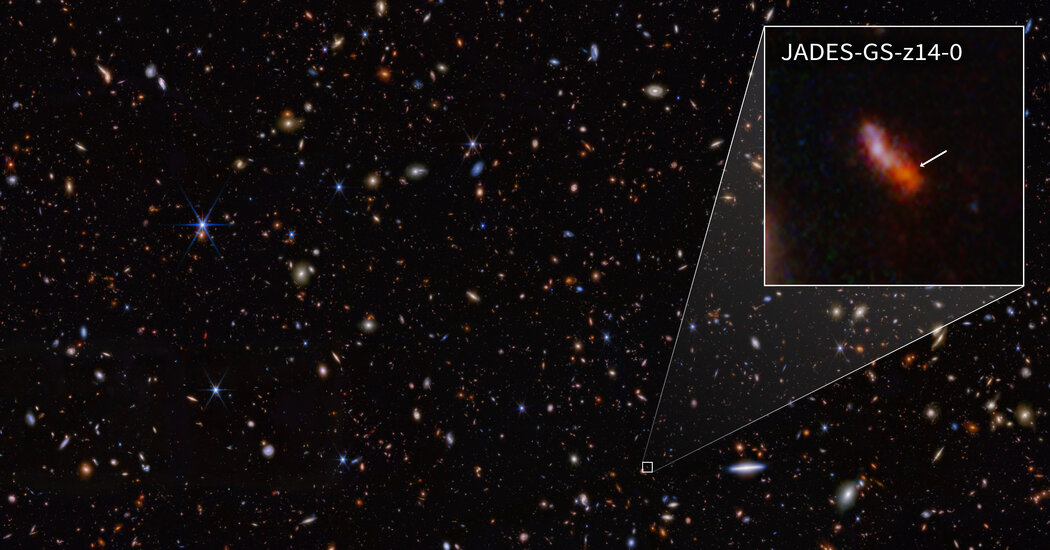 Unlocking Quasar Growth: Latest Discoveries with James Webb Space Telescope