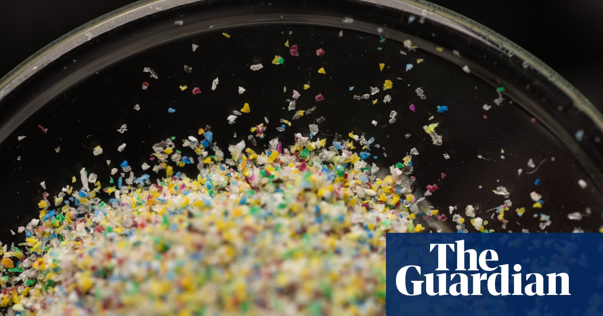 Study Reveals Microplastics Contamination in Human Testicles and Potential Health Risks