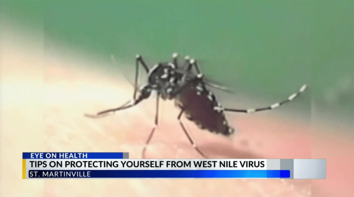 Protect Yourself from Mosquito-borne Disease with Tips from Local Experts