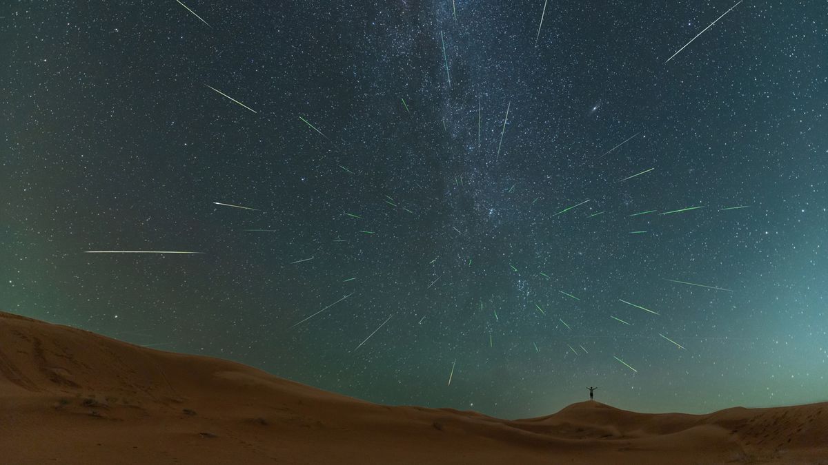 Celestial Spectacle: Perseids Meteor Shower 2024 Update