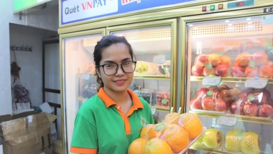 China Market Insights: Vietnam's Fruit Export Growth in 2024