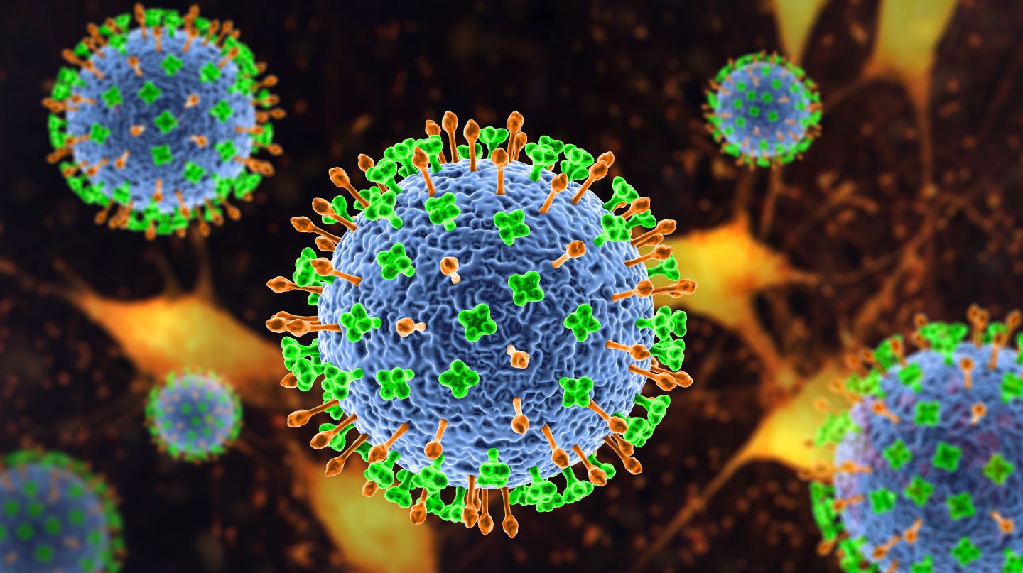 Discover the Monoclonal Antibody Solution for Nipah Virus