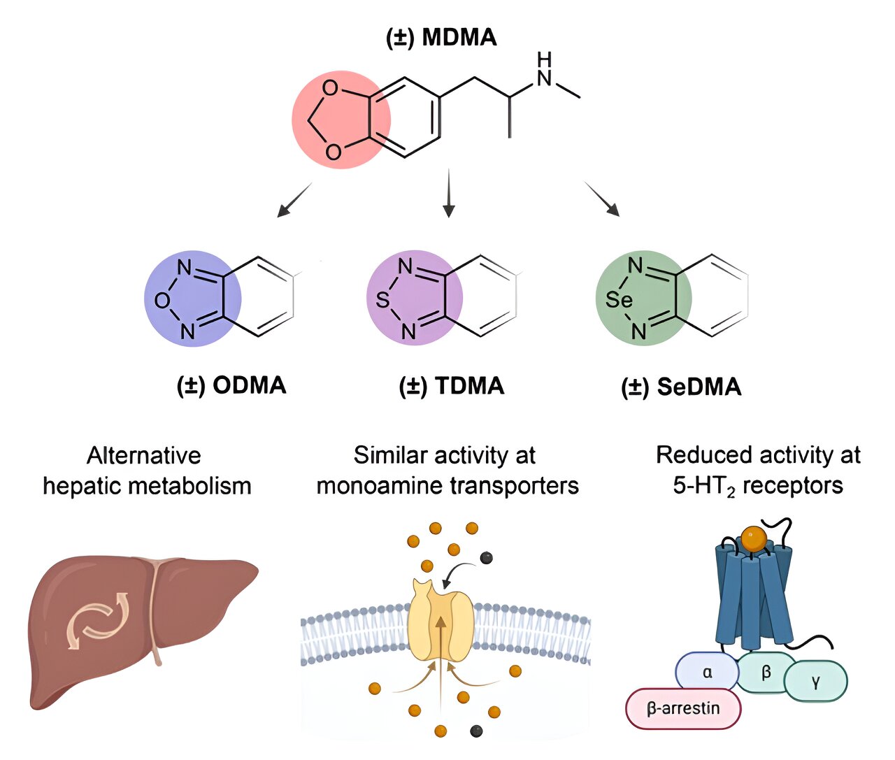 Safer MDMA Variants: Tips for Psychotherapy Wellness