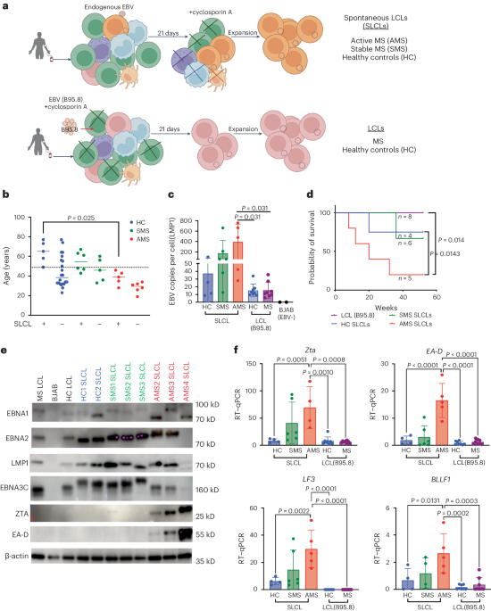 Distinct Profiles of EBV and Host Gene Expression in Multiple Sclerosis