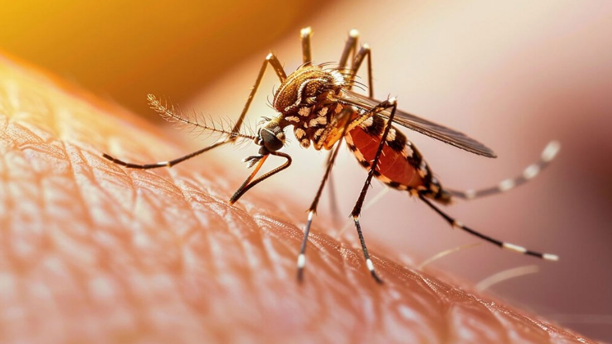 Climate Change Solutions for Uttar Pradesh Dengue Crisis