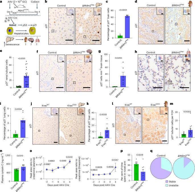 Protein Solutions for Preventing Multi-Organ Failure