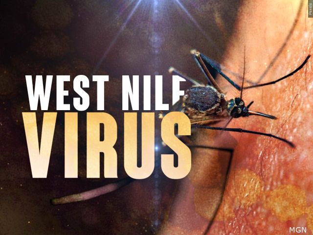 Protect Your Health: Tips to Prevent West Nile Virus Outbreaks