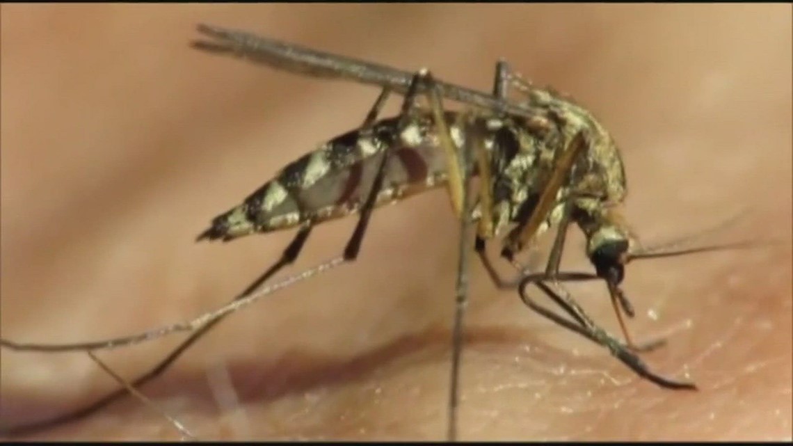 Colorado's Ongoing Battle Against West Nile Virus Outbreaks