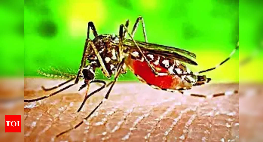 Prevention Tips for Dengue Fever in Telangana: Healthy Solutions for Monsoon Season