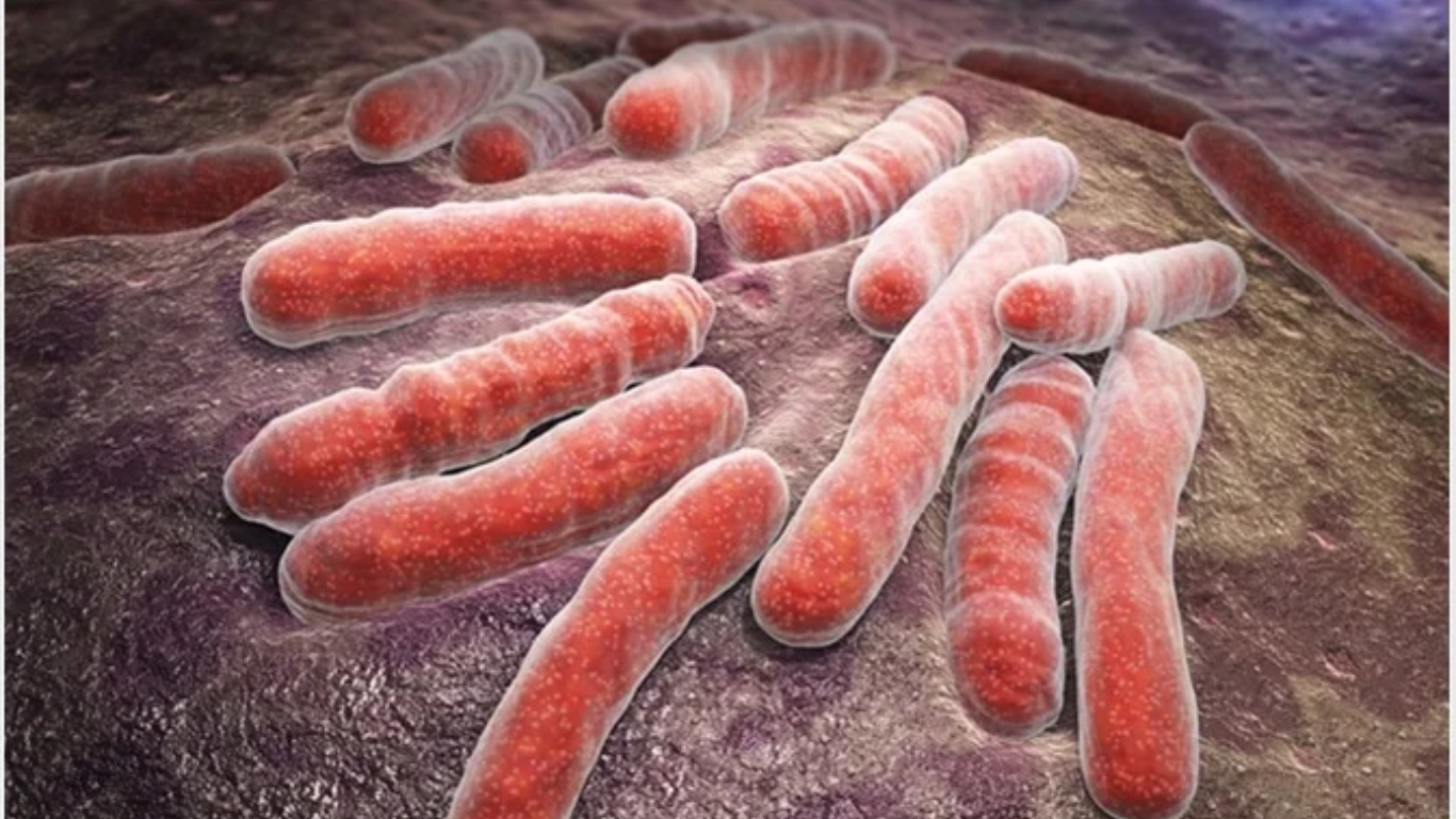 TB Strains Migration: Tips for Understanding Pathogen-Host Affinity