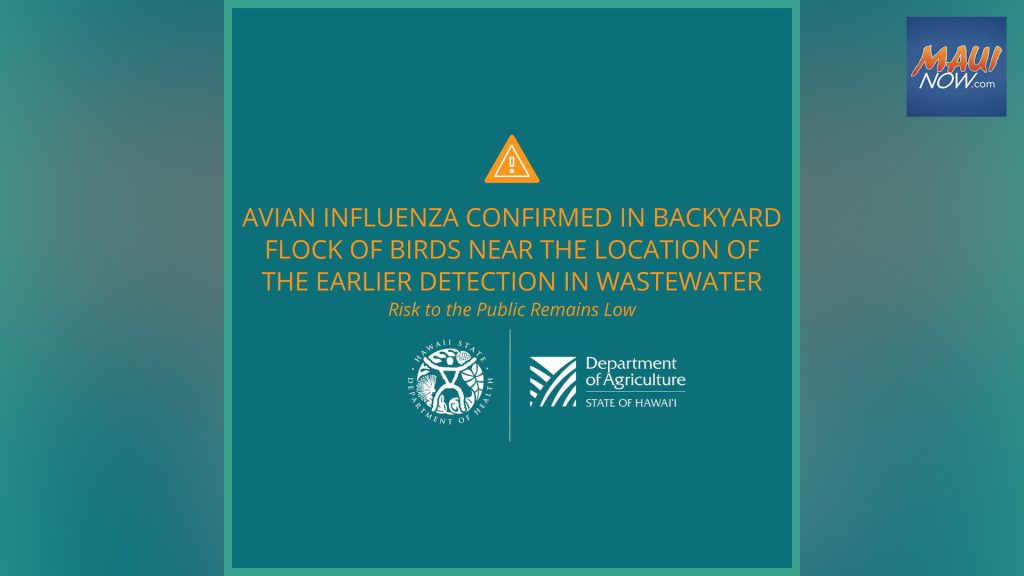 Avian Influenza Outbreak in Hawaii: Tips for Prevention