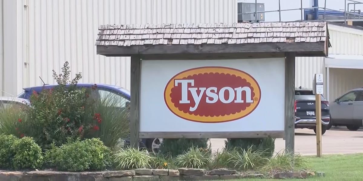 Senator Hawley's Strategy Against Tyson Foods Revealed