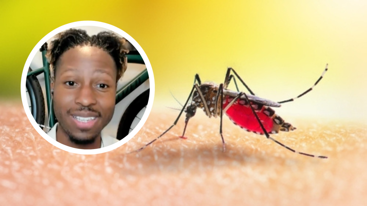 Mosquito Solutions: The Battle Against Mosquito-Borne Diseases