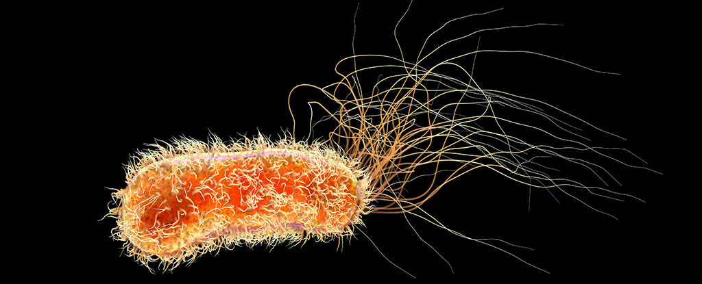 Unlocking Solutions for Pseudomonas aeruginosa Epidemic