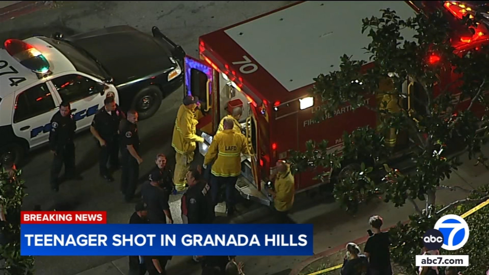 Granada Hills Youth Shooting: Market Strategy for Community Safety