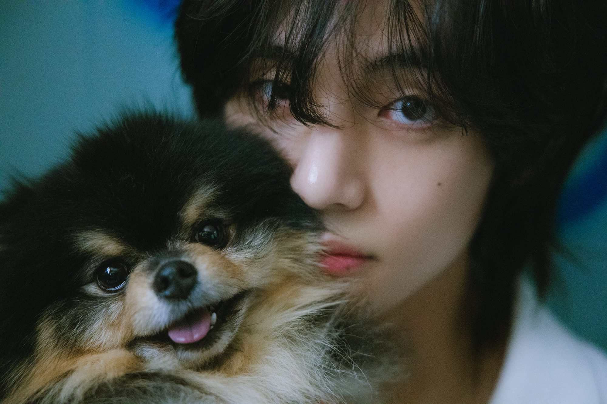 V's Emotional Tribute to His Beloved Dog Yeontan: A Heartfelt Farewell