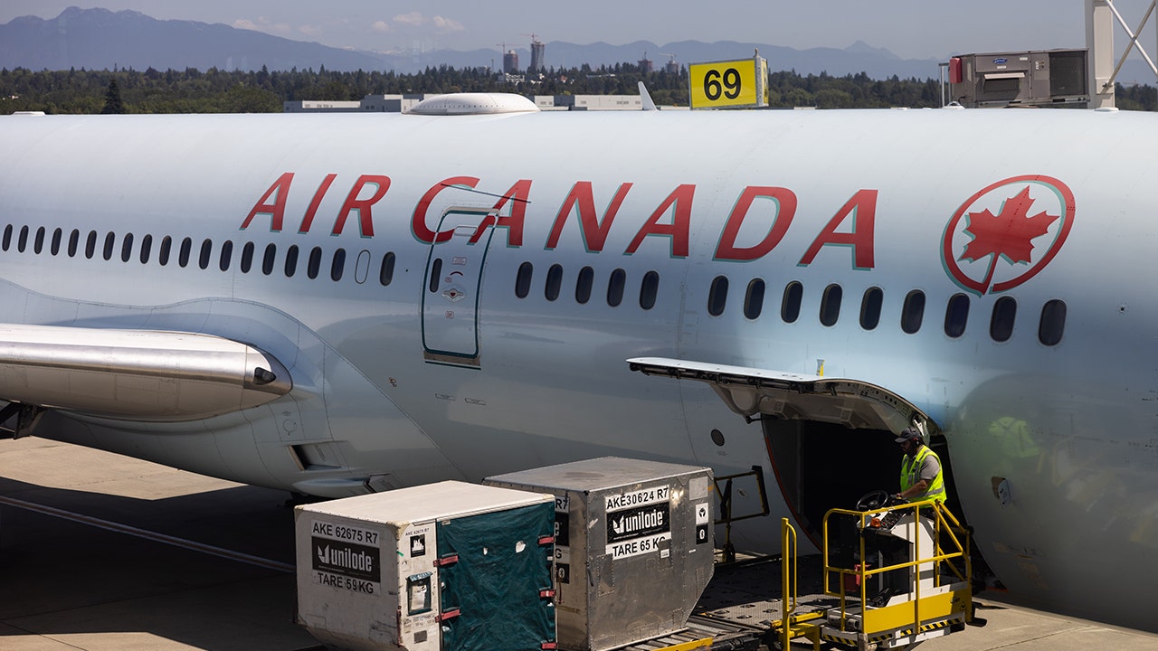 Air Canada Incident Sparks Debate on Passenger Safety Strategy