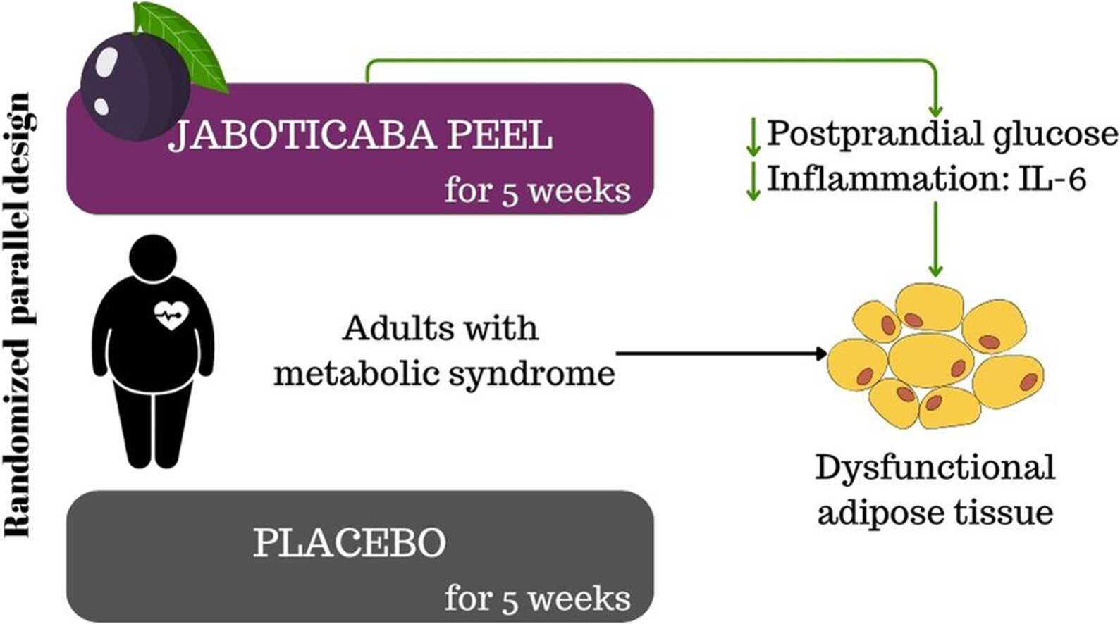 Predictions of Jaboticaba Peel Impact on Blood Sugar and Inflammation in Metabolic Syndrome Patients