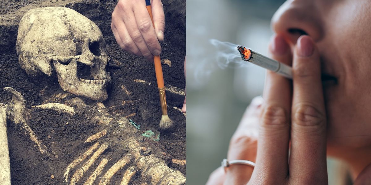 Tobacco Smoke Impact on Homo Skeletons: Uncovering the Truth