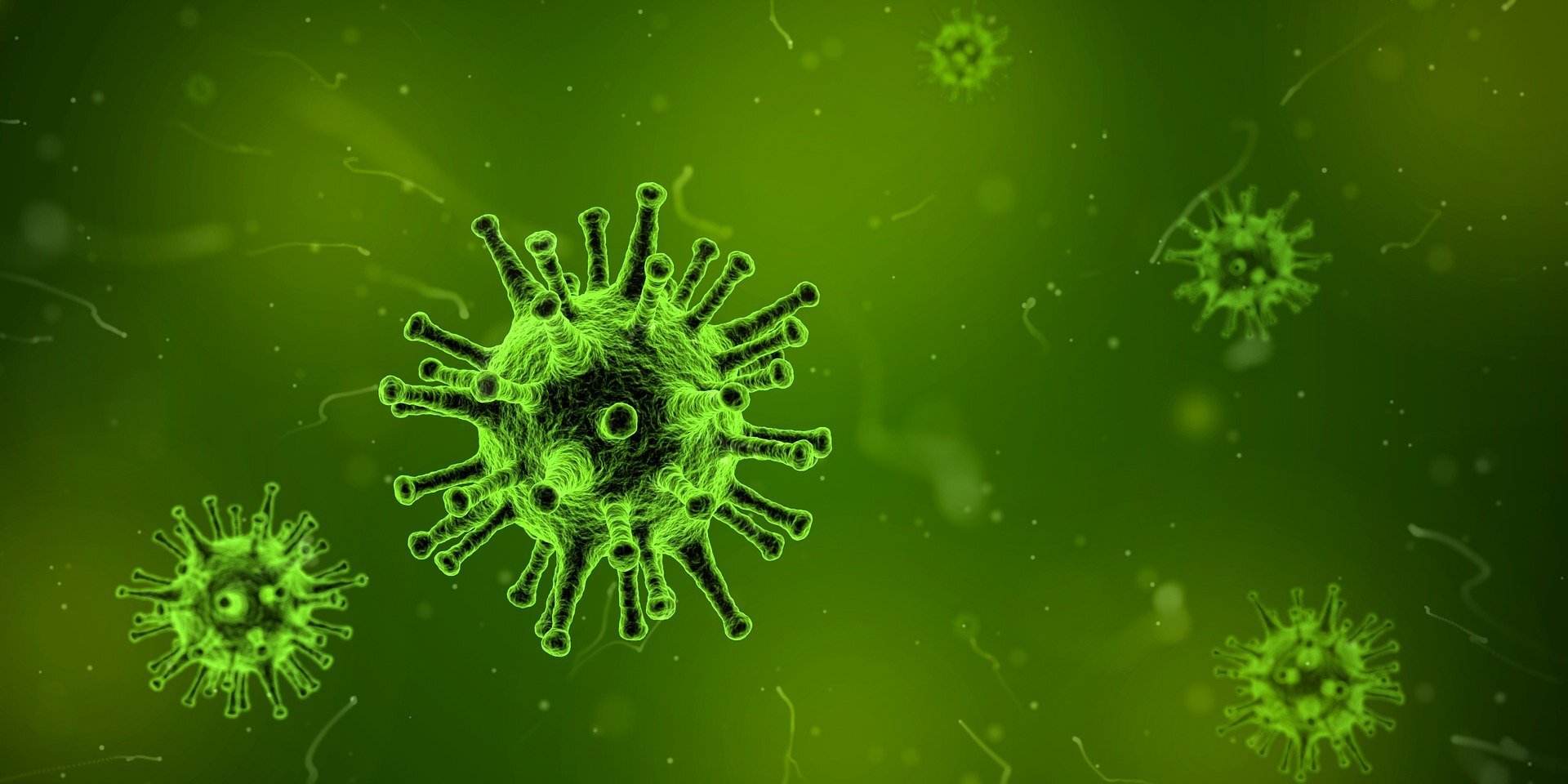 Marburg Virus Outbreak: Tips to Prevent and Combat the Disease