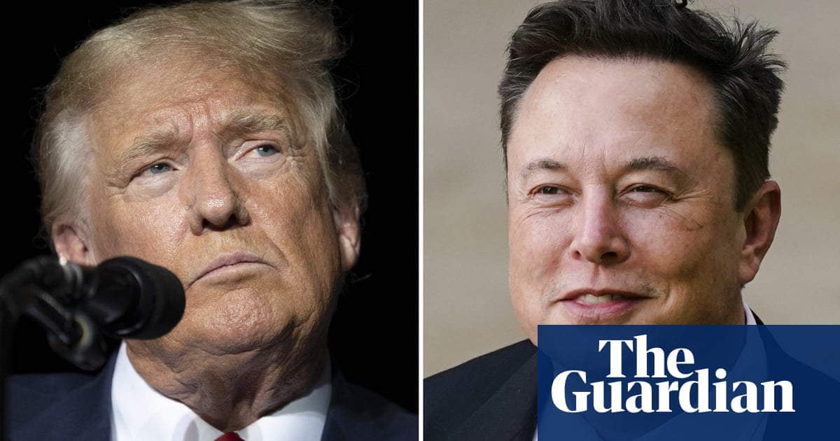 Elon Musk's Impact on Tesla Market Growth Amid Political Controversy