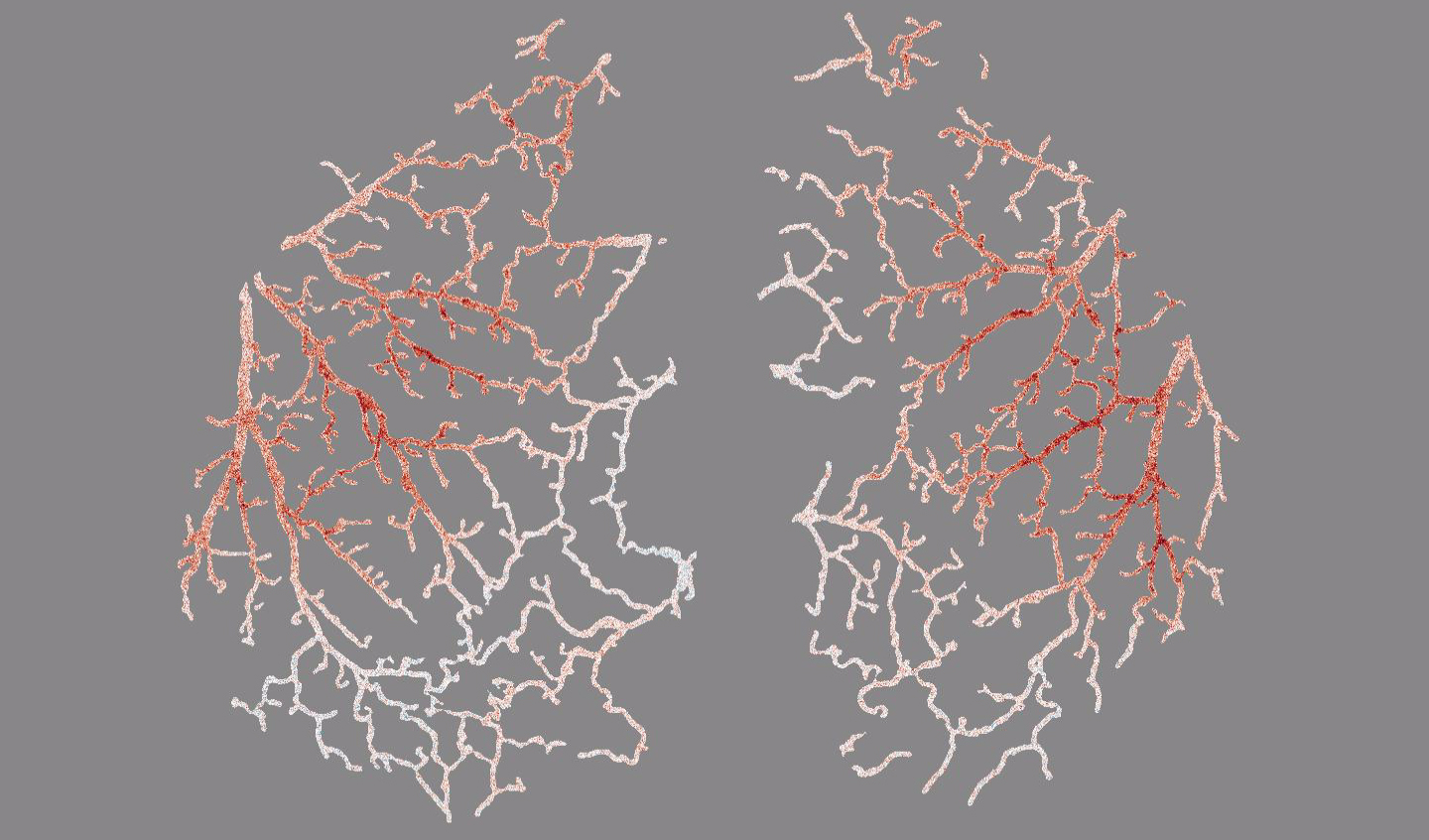 Mouse Brain Blood Flow Waves: Predictions and Implications