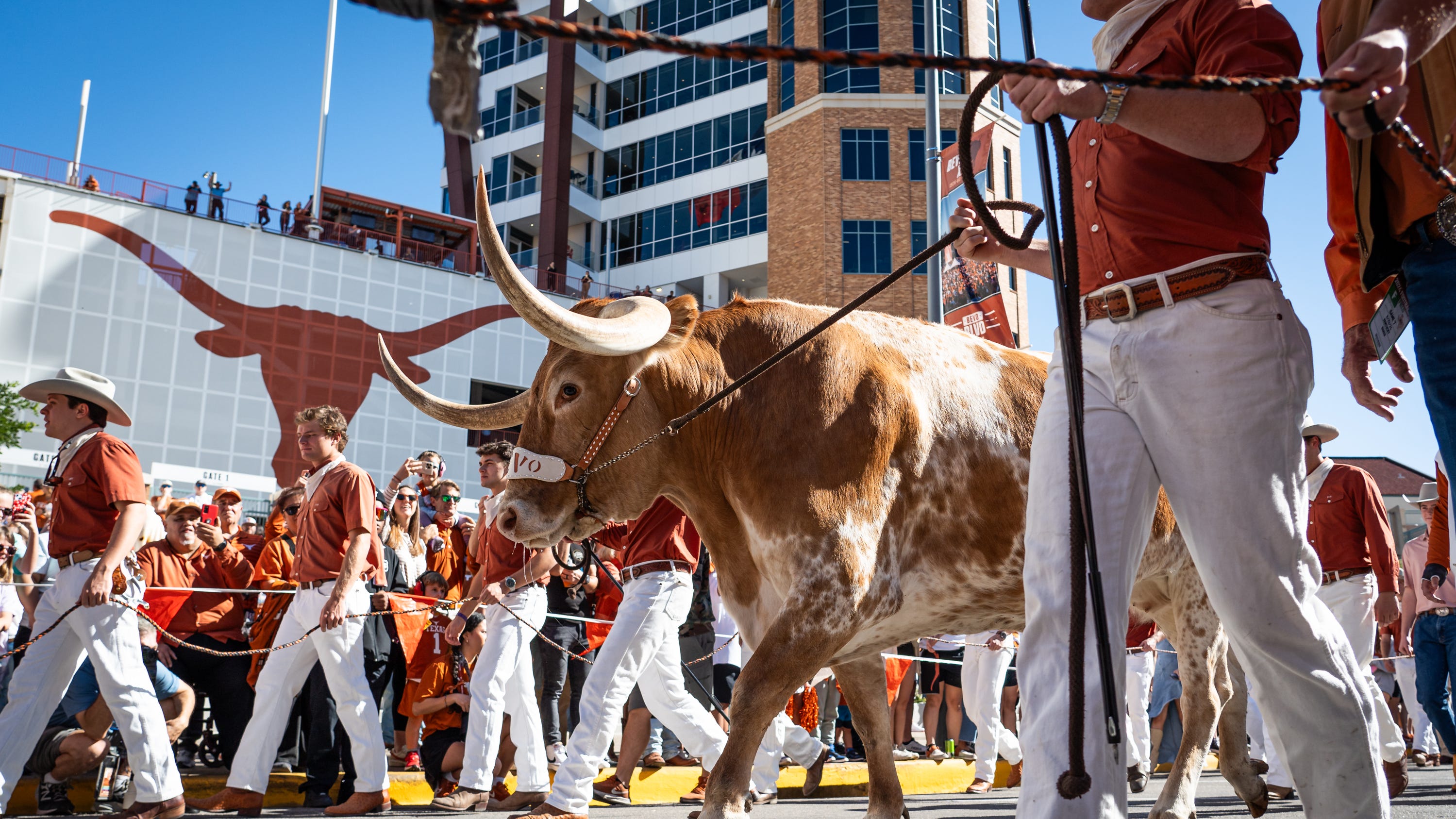 SEC Championship Game Rematch: Bulldogs vs. Longhorns Highlights