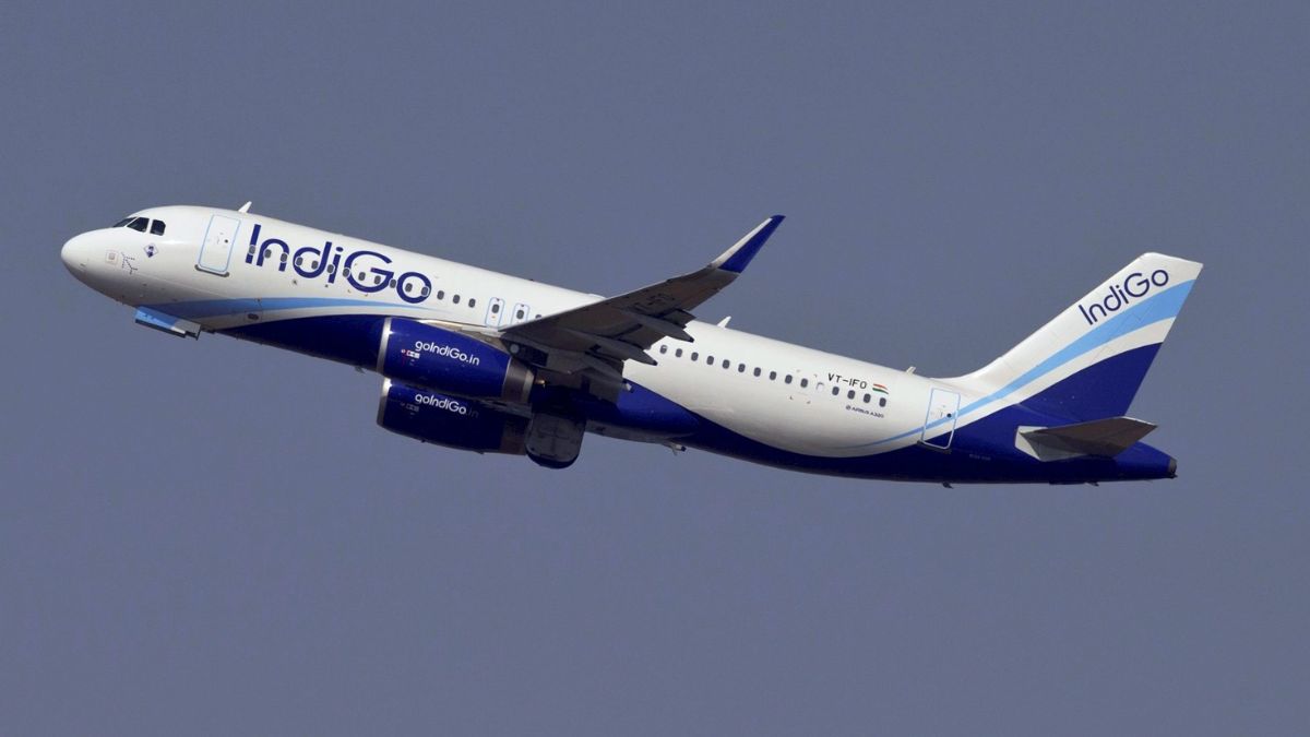 IndiGo's Success in Promoting Gender Diversity in India's Aviation Market