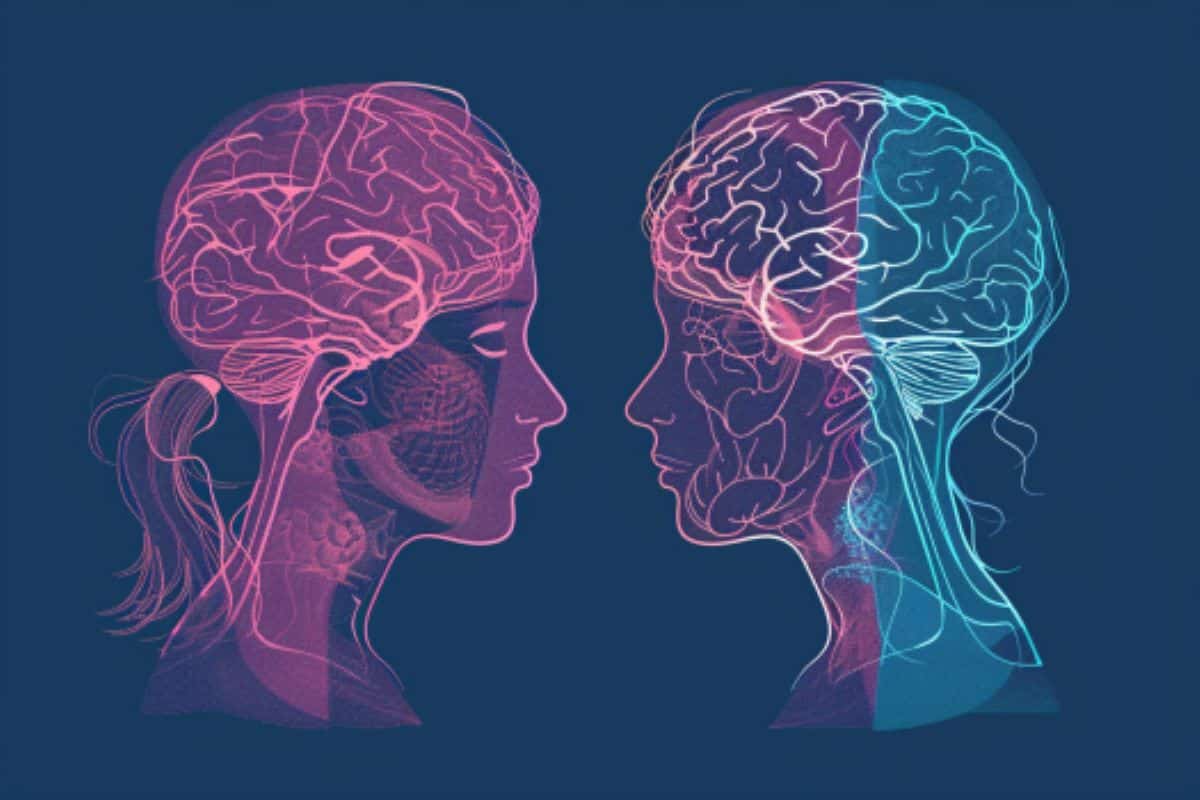 AI Identifies Gender Differences in Human Brain Structures Based on MRI Scans