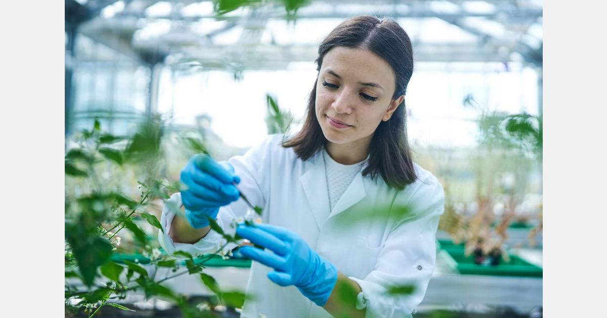 Protein Biosynthesis Tips for Plant Defense