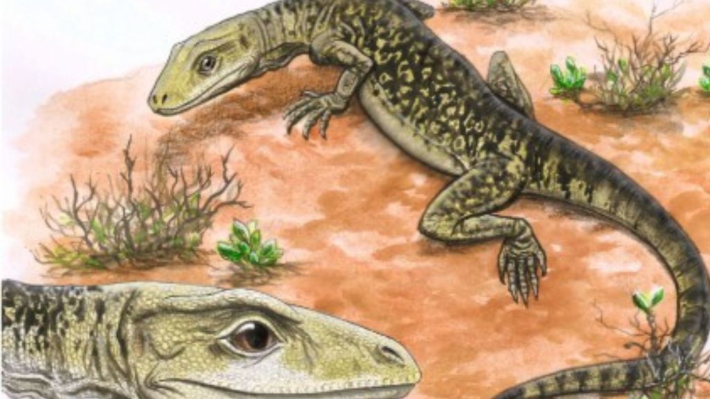 Lizard Fossil Unearthed: Latest Breakthrough in Reptile Evolution