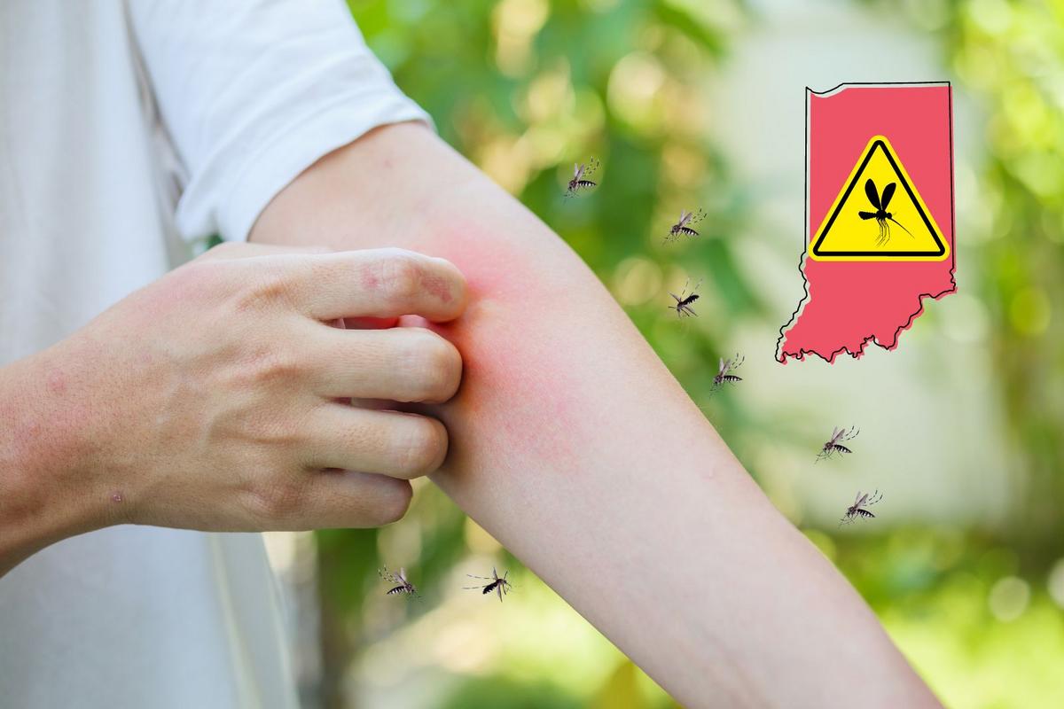 Preventing Mosquito Bites: Easy Tips for a Mosquito-Free Yard