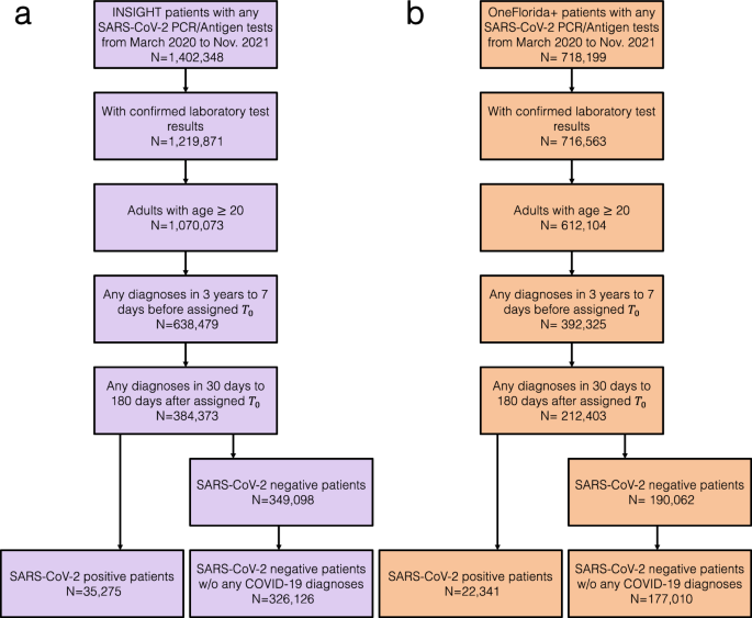 Unlock the Predictive Modelling Tips for Healthy Public Health