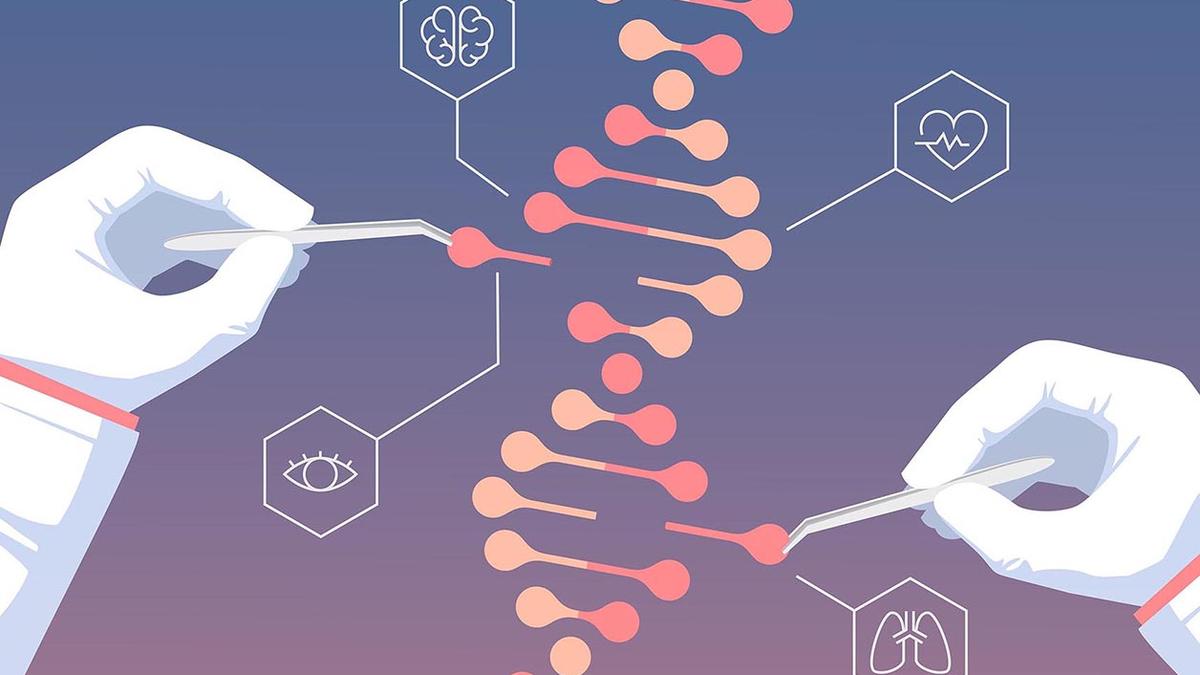 Unlock the Power of Genome Editing with Bridge RNA System