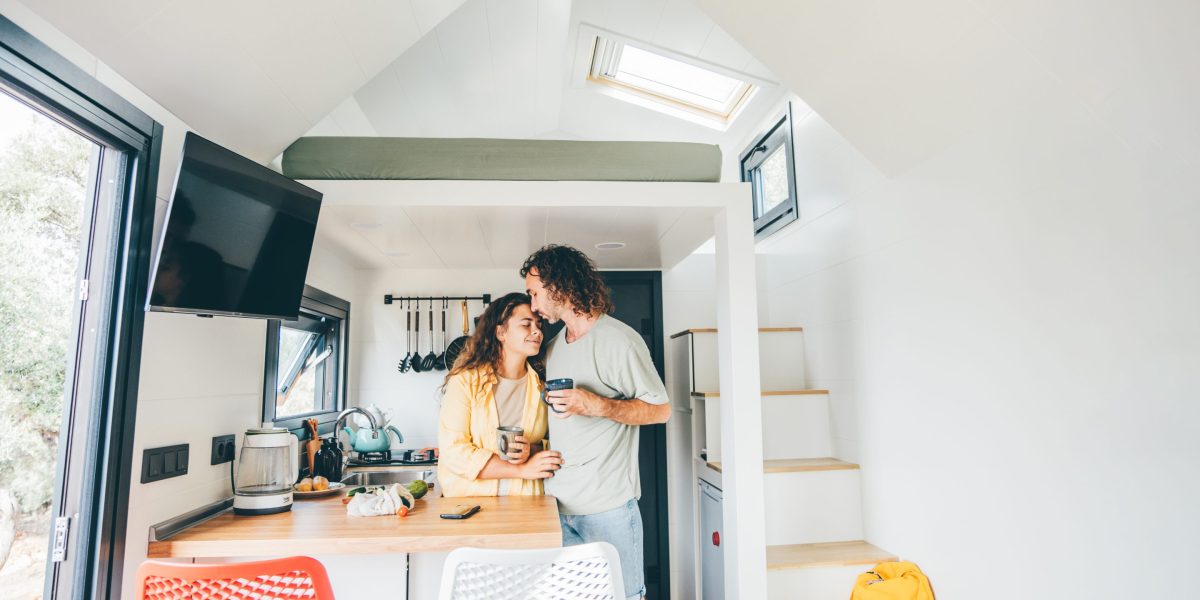 Walmart Market Trends: Insights on Tiny House Movement