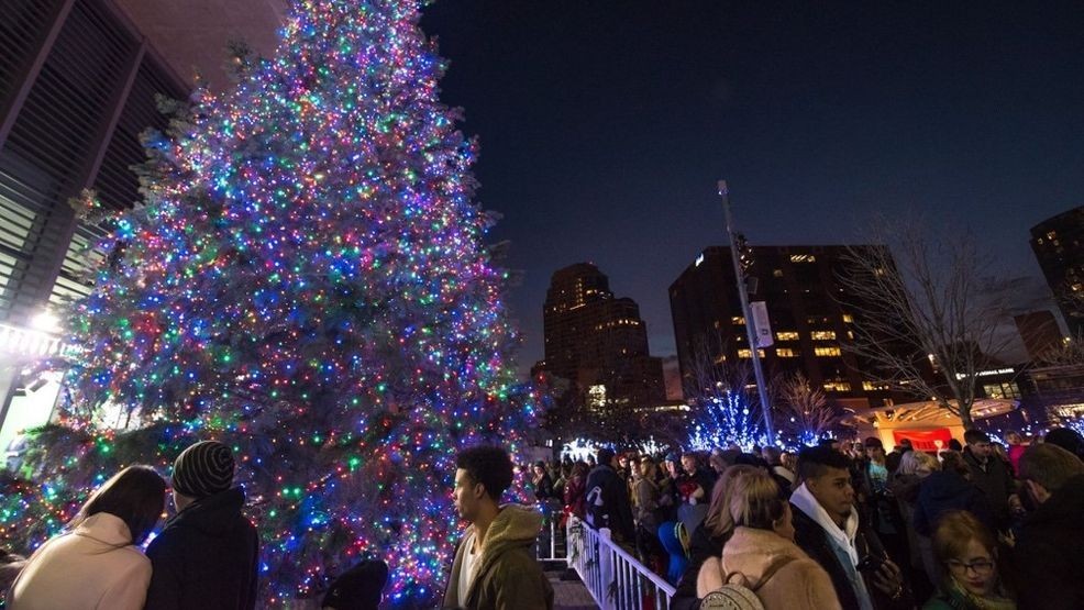 Grand Rapids Christmas Tree Light Event Insights