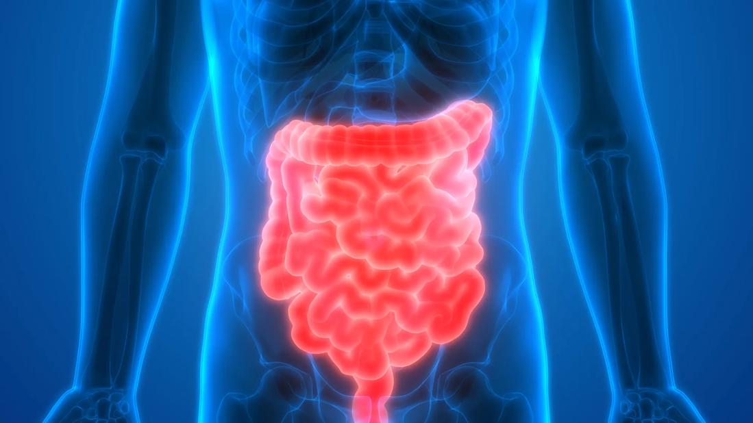 Bacteria Impact on Intestine Health: Tips for Gut Wellness