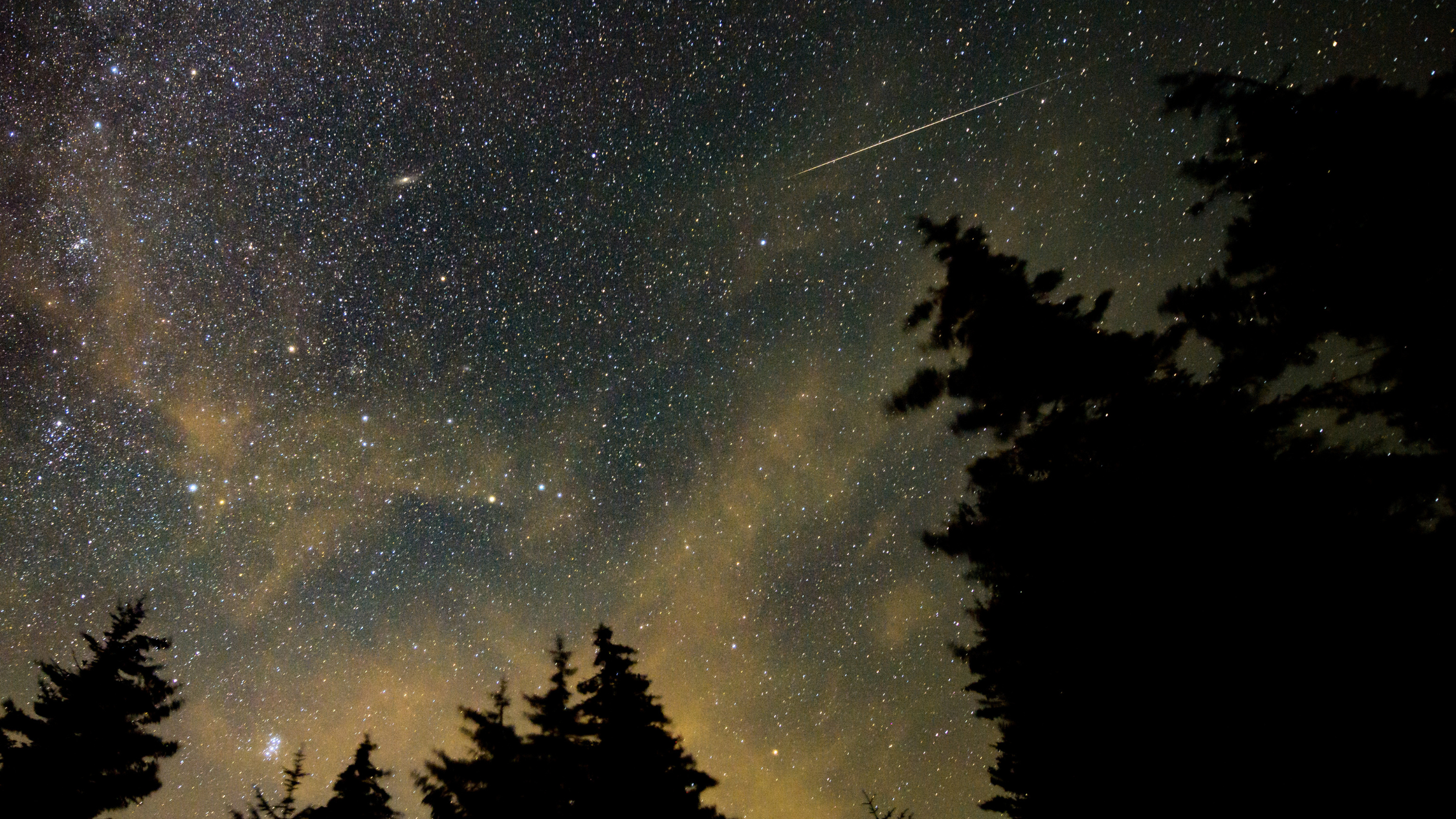 Exciting Meteor Showers Await in 2024 Night Sky