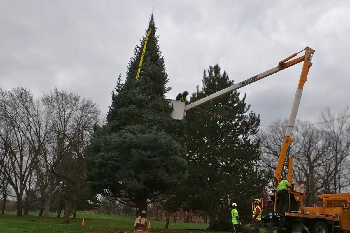 Grand Rapids Christmas Tree Light Event Insights