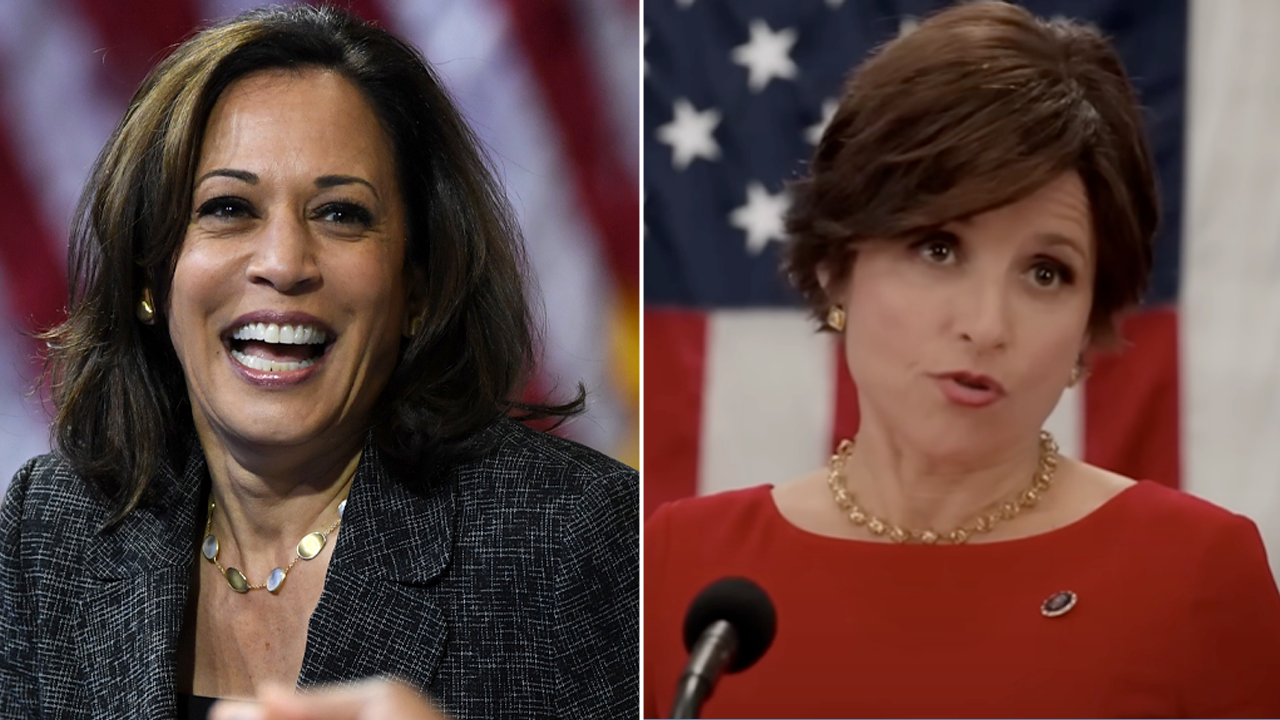 Veep Star Julia Louis-Dreyfus to Support Kamala Harris at Democratic National Convention: Latest Update