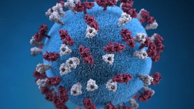 Protective Tips Against Measles Outbreak in Montreal