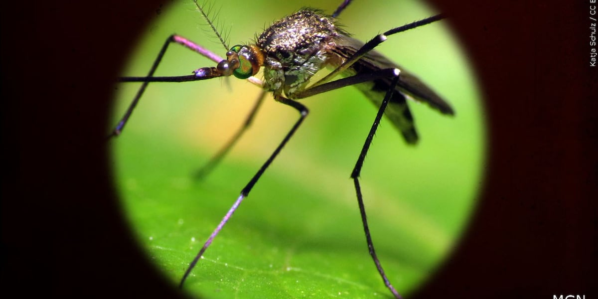 Protect Your Health: Tips to Prevent West Nile Virus Outbreaks