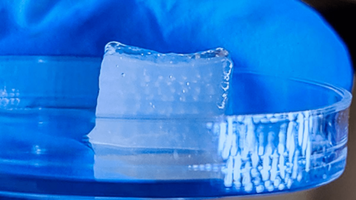 Bioprinting Breakthrough: The Latest HITS-Bio Technique Revolutionizing Tissue Engineering