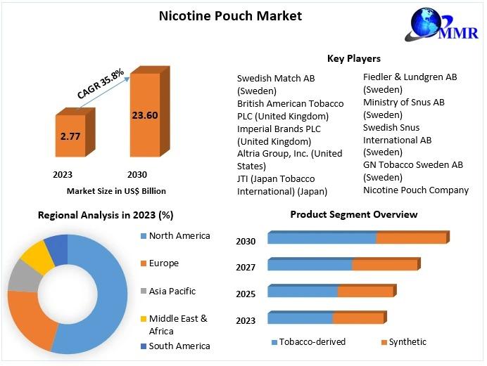 Nicotine Pouch Market Growth Insights