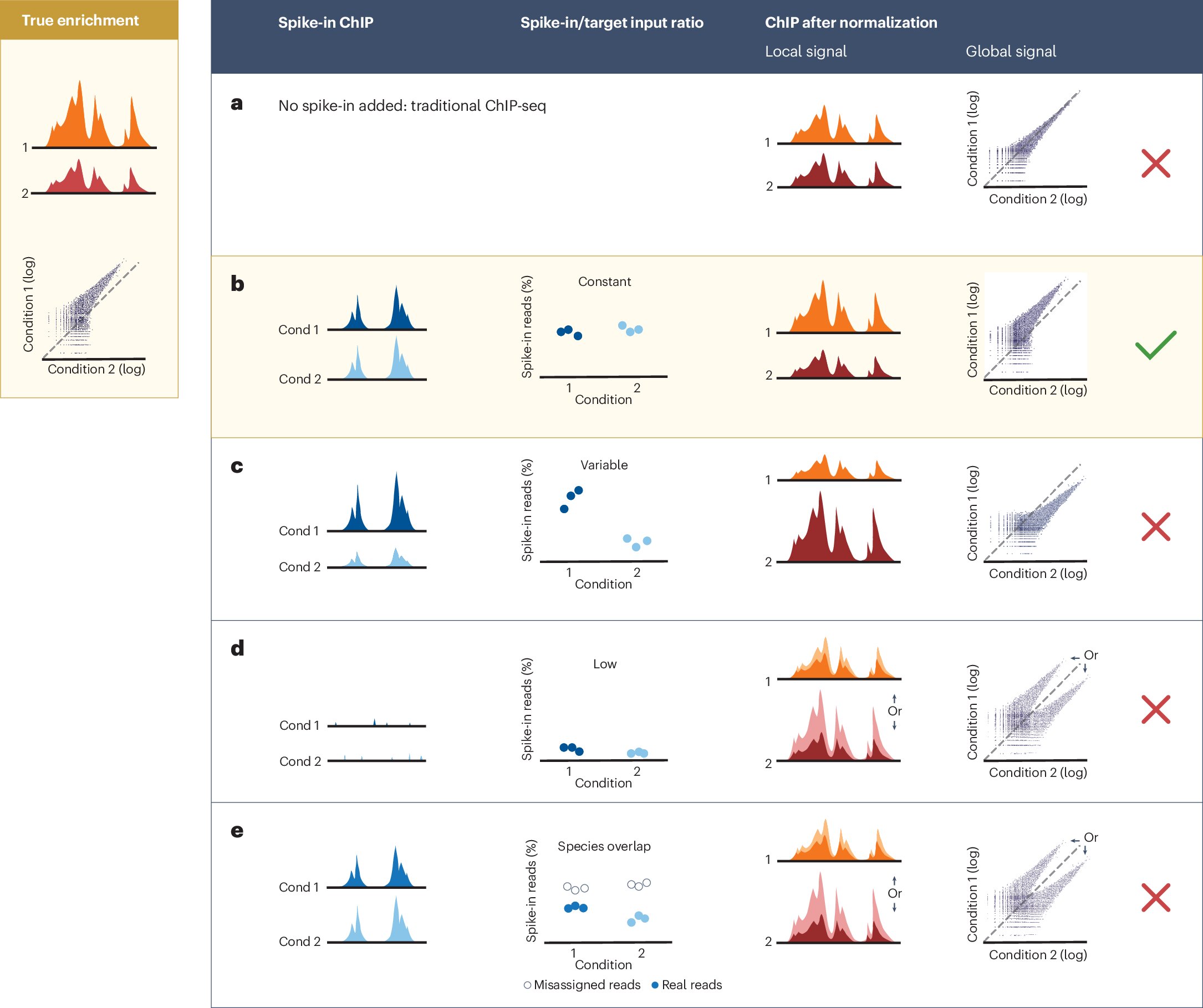 Protein Interaction Tips for Accurate Quantification: Enhancing Accuracy with Spike-In Standardization