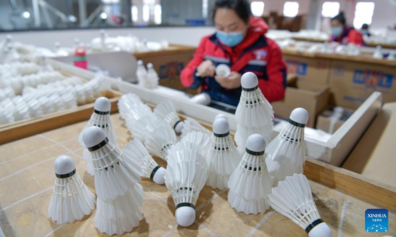 China's Badminton Market Insights: Rising Popularity and Challenges